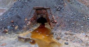 Datos alarmantes: Las aves ponen en evidencia la contaminación en las antiguas zonas mineras