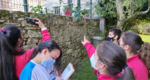¿Cuánta biodiversidad habita en los colegios españoles?