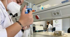 La formación que necesitan los futuros profesionales del sector del aceite de oliva, a debate en la UJA