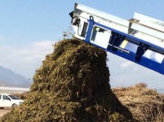 Carbón vegetal, una solución frente a los contaminantes eternos de las aguas residuales