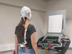 Seis universidades de la alianza NeurotechEU, entre las que se encuentra la española UMH, impartirán el primer Máster Europeo en Neurotecnología