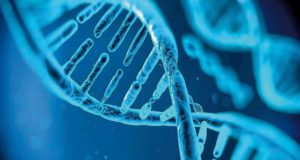 Murcia acoge el el II Congreso Iberoamericano de Genética Médica y Medicina Genómica y el XXIX Congreso de la AEGH del 7 al 10 de octubre