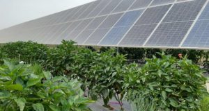 Una variación en la geometría molecular de un compuesto aumenta la eficiencia y la durabilidad de las células fotovoltaicas de perovskita