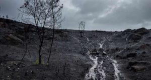 Qué medidas hay que tomar en las zonas quemadas para evitar los daños causados por las lluvias