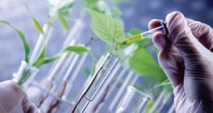 El Máster en Seguridad y Biotecnología Alimentaria de la UBU permitirá la doble titulación de la Universidad Autónoma de Chihuahua