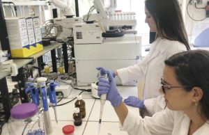 La Universidad de Murcia sitúa a 58 investigadores entre el 2 % de los científicos con mayor impacto del mundo