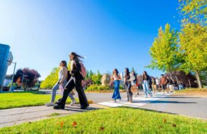 El programa Magallanes oferta 120 becas de Movilidad Académica Internacional entre todas las Instituciones Asociadas a la AUIP 2027