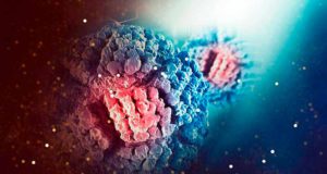 Microbioma: ¿Qué es y cuál es su importancia en nuestra salud?