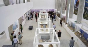 La UAL refuerza el potencial del Pabellón de Historia Natural como espacio de educación ambiental