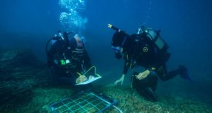 Andalucía, interesada en formar parte de la nueva Infraestructura Distribuida de Observación Marina