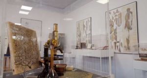 Una exposición y cuatro conferencias en la UMA para celebrar el Año Cajal