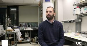 Plásticos recogidos en el mar podrán tener una segunda vida convertidos en hidrógeno