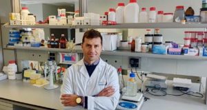 Premio para una investigación del IMIDA y el IMIB de Murcia sobre el uso de la seda para liberar fármacos
