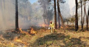 “Hay que permitir incendios pequeños para evitar los de grandes dimensiones”
