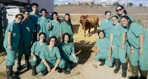 El 75 % de las enfermedades infecciosas se originan en animales y los veterinarios son esenciales en su detección temprana