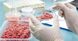 Grados de la Facultad de Veterinaria de la UMU: alimentos y salud animal para una sola salud