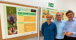 La UMA abre una puerta para descubrir el mundo de los insectos
