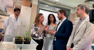 La UCLM estudia nuevas variedades de uva mejor adaptadas al cambio climático