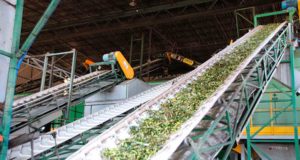 Un modelo más sostenible para producir aceite de oliva que permite almacenar CO2