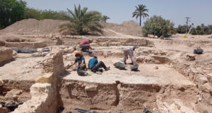 Desvelan el entramado de tuberías romanas del yacimiento de La Alcudia