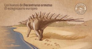 El sorprendente hallazgo en Teruel que esclarece la clasificación de los dinosaurios estegosaurios