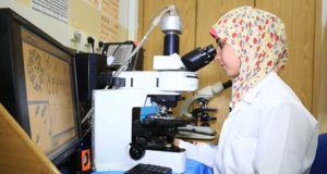 La UAL recibe 173 solicitudes para becar a 10 estudiantes de Gaza