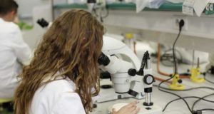 Andalucía convoca ayudas de 27 millones para promover las unidades de investigación de excelencia