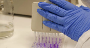 La UMA contrata 77 investigadores noveles y personal técnico