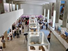 El Pabellón de Historia Natural de la UAL programa más de 20 actividades para divulgar la ciencia