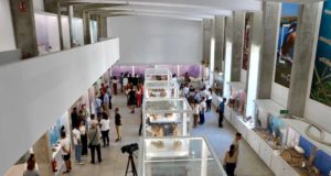 El Pabellón de Historia Natural de la UAL programa más de 20 actividades para divulgar la ciencia