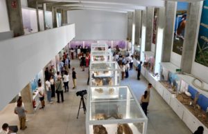 El Pabellón de Historia Natural de la UAL programa más de 20 actividades para divulgar la ciencia
