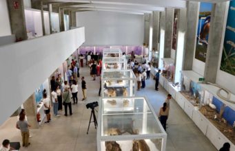 El Pabellón de Historia Natural de la UAL programa más de 20 actividades para divulgar la ciencia