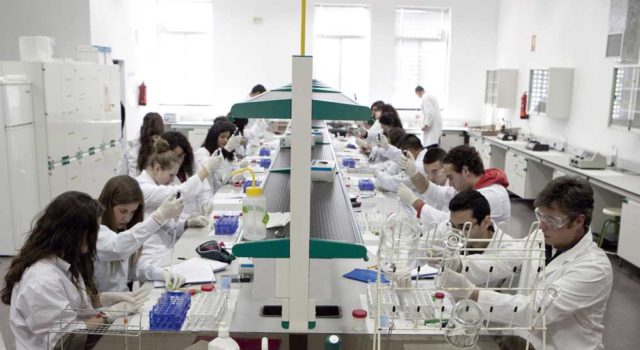 Másteres universitarios de la Miguel Hernández 2026/27: eleva tus expectativas