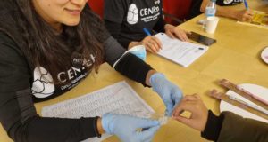Huelva se suma por primera vez a la recogida de dientes de leche para estudios científicos