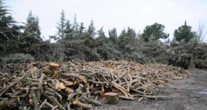 Un curso en la UHU para la puesta en valor de residuos agroforestales: dirigido a estos titulados