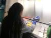 La Universidad Nacional de Colombia celebra su 159 cumpleaños en paralelo a apertura de UNAL Investiga, un evento de divulgación científica que acercará su ciencia a la ciudadanía