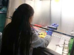 La Universidad Nacional de Colombia celebra su 159 cumpleaños en paralelo a apertura de UNAL Investiga, un evento de divulgación científica que acercará su ciencia a la ciudadanía