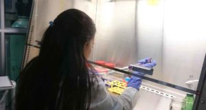 La Universidad Nacional de Colombia celebra su 159 cumpleaños en paralelo a apertura de UNAL Investiga, un evento de divulgación científica que acercará su ciencia a la ciudadanía