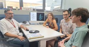Encuentran nuevos mecanismos que marcan el correcto desarrollo del cerebro