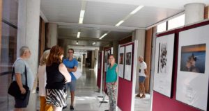 Las obras premiadas en los concursos de la UCLM, reunidas en una exposición