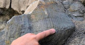 Un nuevo yacimiento donde ver huellas de dinosaurios con las impresiones de su piel