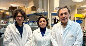 Diez millones de euros para investigar un tratamiento contra el cáncer de pulmón de células pequeñas