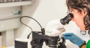 Murcia ha invertido 4,5 millones en la captación de talento investigador internacional