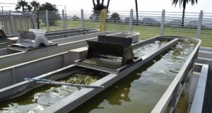 Biofactorías, desalación e IA: las claves para asegurar el agua en los Cursos de Verano de la UAL