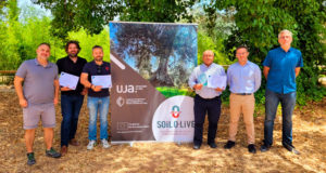 Estos son los aceites premiados por la UJA: buenos en sabor y mejores en sostenibilidad