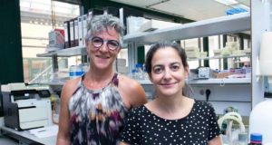 Esta proteína es esencial en la regulación de las expresión de los genes y para la energía de las células