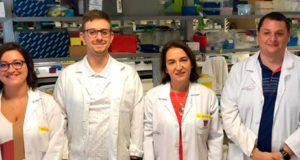 Vía para nuevos tratamientos para un tipo de cáncer de médula ósea