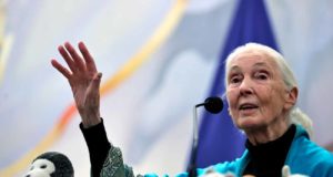 Muere Jane Goodall, la primatóloga que enseñó a respetar a la naturaleza