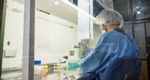 Las áreas científicas y técnicas, asignatura pendiente en el área iberoamericana