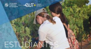 Producción de uva y energía solar en la misma finca: investigan si son compatibles